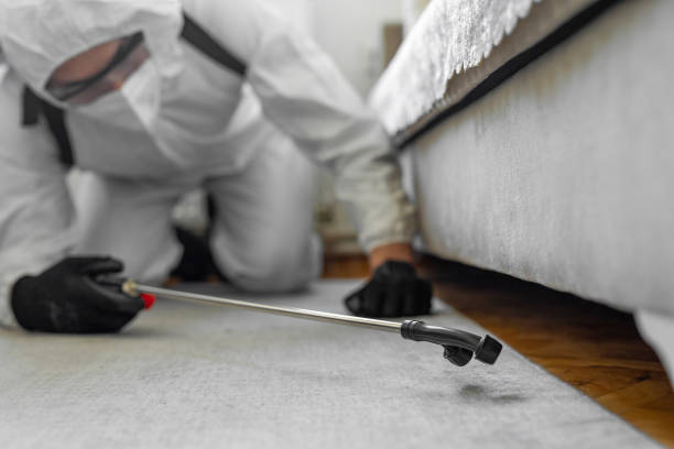 Professional Termite Control technician working in Harrison, TN