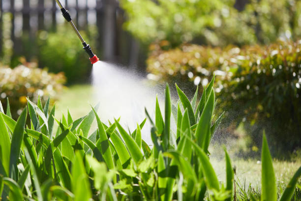 24/7 Emergency Termite Control experts in Harrison, TN